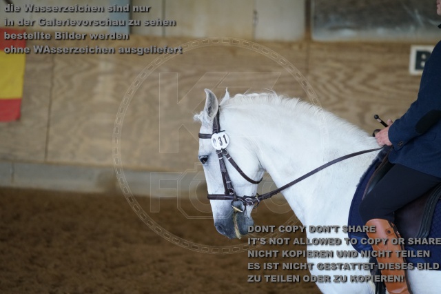 s_K3F03418.JPG